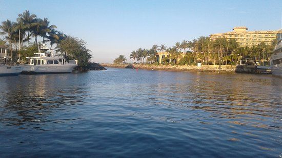 El Paseo de los Cocoteros